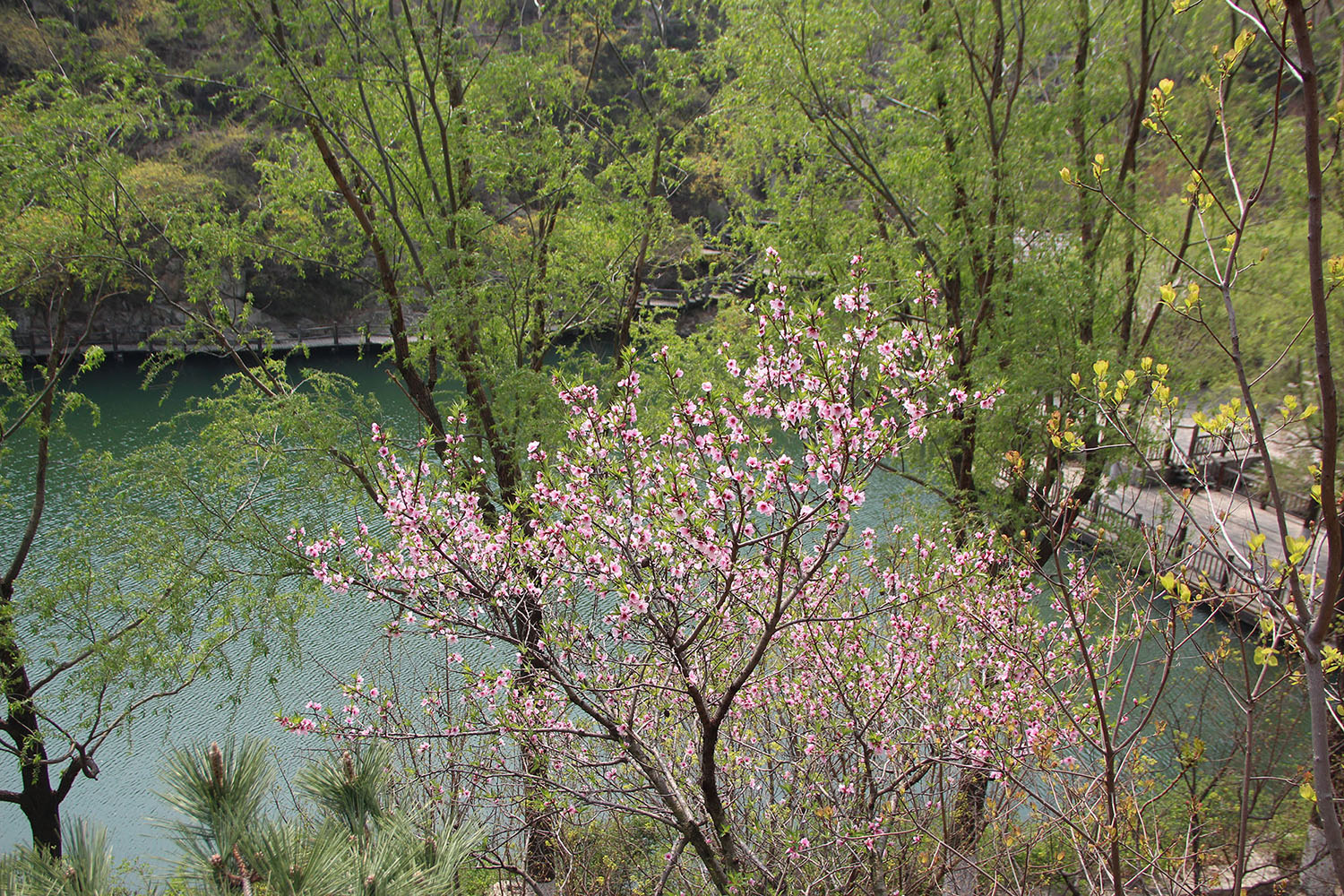 2021，濟(jì)南辰達(dá)試驗(yàn)機(jī)制造有限公司九如山一日游！